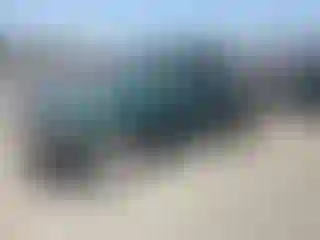 Vehicle Image- 2004 Toyota Tacoma