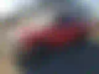 Vehicle Image- 2001 Toyota Tacoma