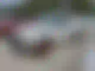 Vehicle Image- 2001 Toyota Tacoma