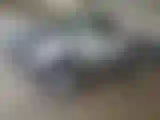 Vehicle Image- 2002 Toyota Tacoma