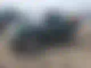 Vehicle Image- 2001 Toyota Tacoma