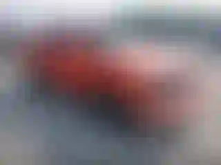 Vehicle Image- 2004 Toyota Tacoma