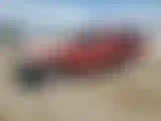 Vehicle Image- 2007 Toyota Tacoma