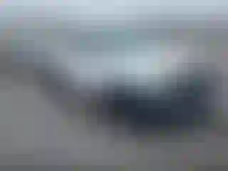 Vehicle Image- 2007 Toyota Tacoma