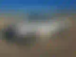 Vehicle Image- 2007 Toyota Tacoma