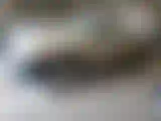 Vehicle Image- 2006 Toyota Tacoma