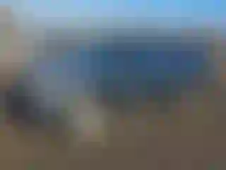 Vehicle Image- 2009 Toyota Tacoma