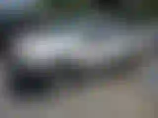 Vehicle Image- 2006 Toyota Tacoma