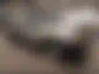 Vehicle Image- 2009 Toyota Tacoma