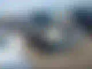 Vehicle Image- 2008 Toyota Tacoma