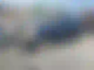 Vehicle Image- 2005 Toyota Tacoma