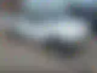 Vehicle Image- 2007 Toyota Tacoma