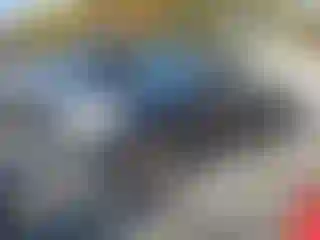 Vehicle Image- 2009 Toyota Tacoma