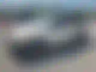 Vehicle Image- 2005 Toyota Tacoma