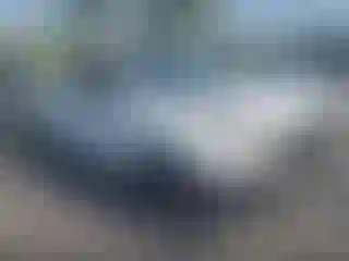Vehicle Image- 2007 Toyota Tacoma