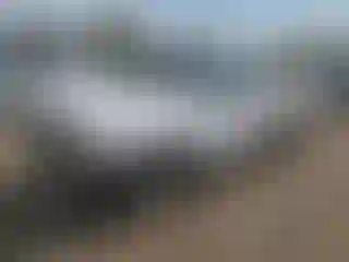 Vehicle Image- 2008 Toyota Tacoma