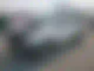 Vehicle Image- 2009 Toyota Tacoma