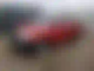 Vehicle Image- 2006 Toyota Tacoma