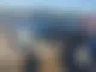 Vehicle Image- 2009 Toyota Tacoma