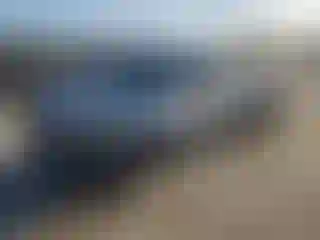 Vehicle Image- 2010 Toyota Tacoma