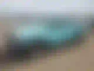 Vehicle Image- 2010 Toyota Tacoma