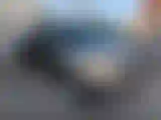 Vehicle Image- 2010 Toyota Tacoma