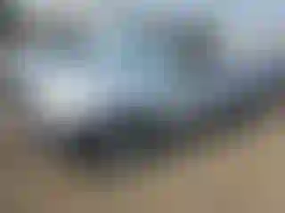 Vehicle Image- 2010 Toyota Tacoma
