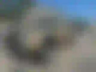 Vehicle Image- 2002 Toyota Tacoma