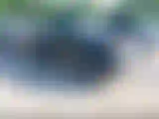 Vehicle Image- 2004 Toyota Tacoma