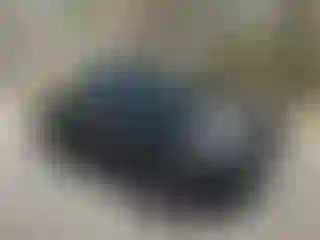 Vehicle Image- 2006 Toyota Tacoma