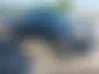 Vehicle Image- 2007 Toyota Tacoma