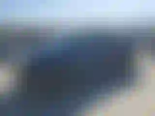 Vehicle Image- 2008 Toyota Tacoma