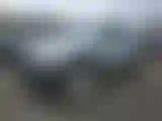 Vehicle Image- 2009 Toyota Tacoma