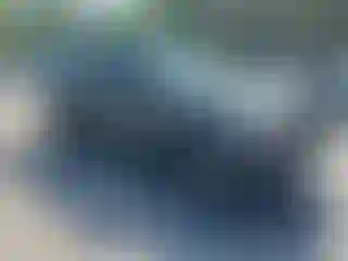 Vehicle Image- 2009 Toyota Tacoma