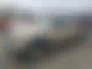 Vehicle Image- 2001 Toyota Tacoma
