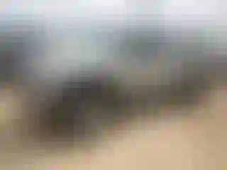 Vehicle Image- 2001 Toyota Tacoma
