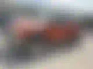 Vehicle Image- 2003 Toyota Tacoma