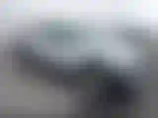 Vehicle Image- 2004 Toyota Tacoma