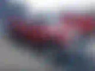 Vehicle Image- 2000 Toyota Tacoma