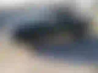 Vehicle Image- 2001 Toyota Tacoma