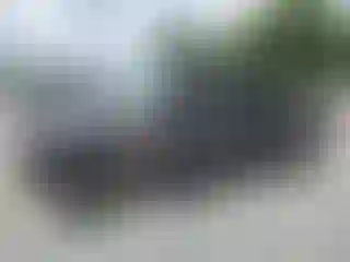 Vehicle Image- 2002 Toyota Tacoma