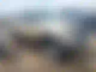 Vehicle Image- 2000 Toyota Tacoma