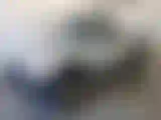 Vehicle Image- 2003 Toyota Tacoma