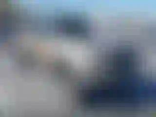 Vehicle Image- 2002 Toyota Tacoma