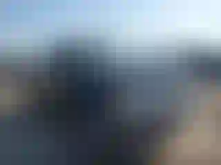 Vehicle Image- 2003 Toyota Tacoma