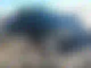 Vehicle Image- 2003 Toyota Tacoma