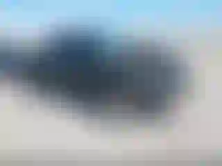 Vehicle Image- 2001 Toyota Tacoma