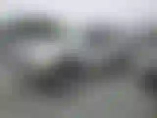 Vehicle Image- 2003 Toyota Tacoma