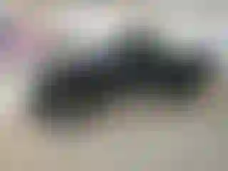 Vehicle Image- 2000 Toyota Tacoma