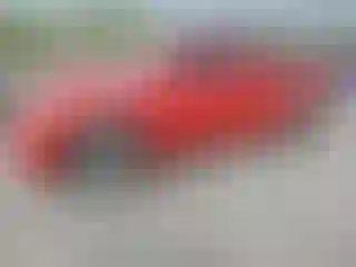 Vehicle Image- 2005 Toyota Tacoma